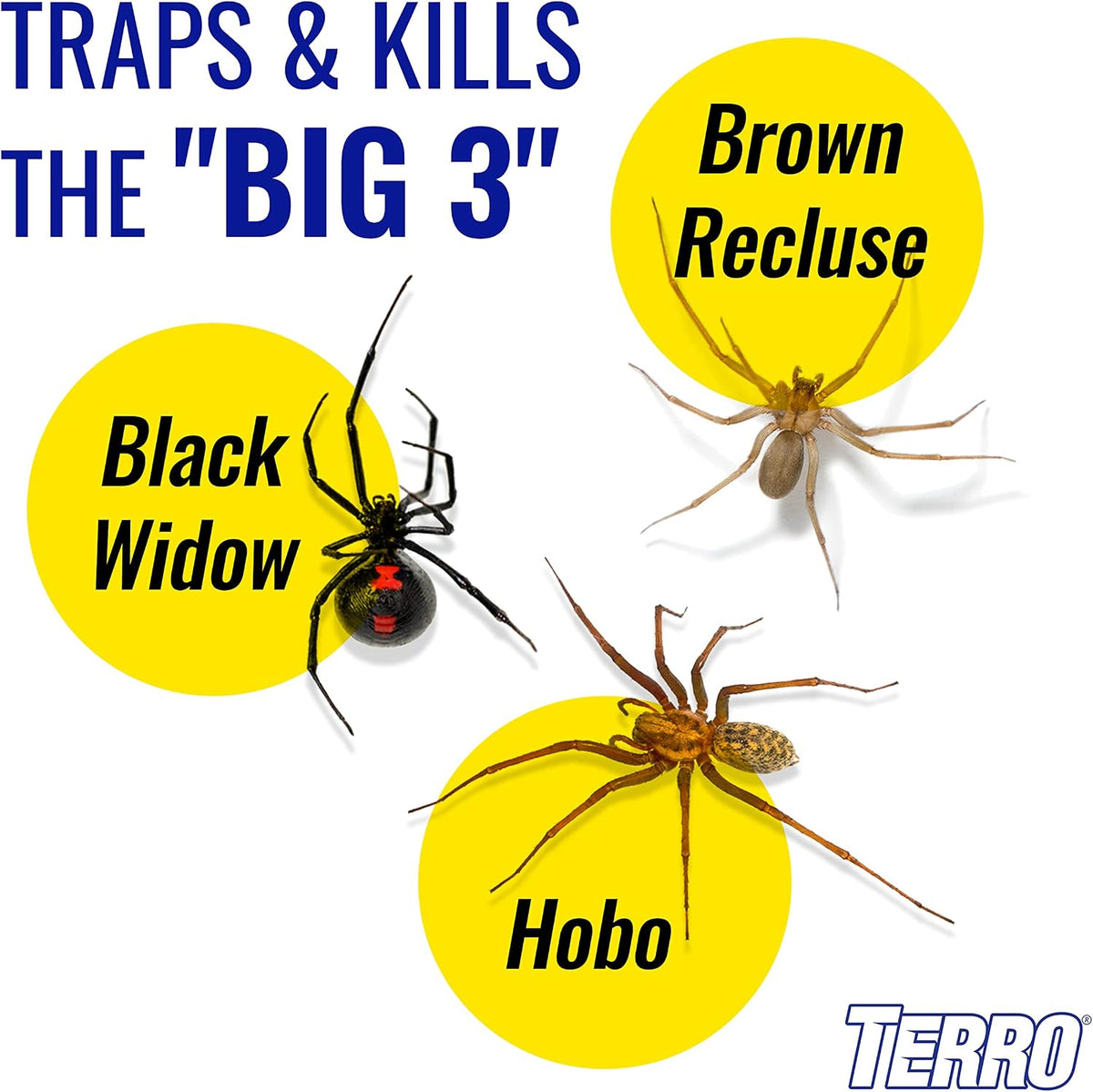 T3206SR Non-Toxic Indoor Spider, Ant, Cockroach, Centipede, & Insect Traps - Includes 12 Bug Traps Indoor for Homes