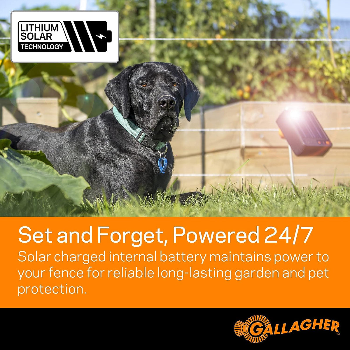 S6 Solar Electric Fence Charger | Solar Fence Energizer for Gardens, Chickens, Goats, and Pets | Solar-Powered Fence