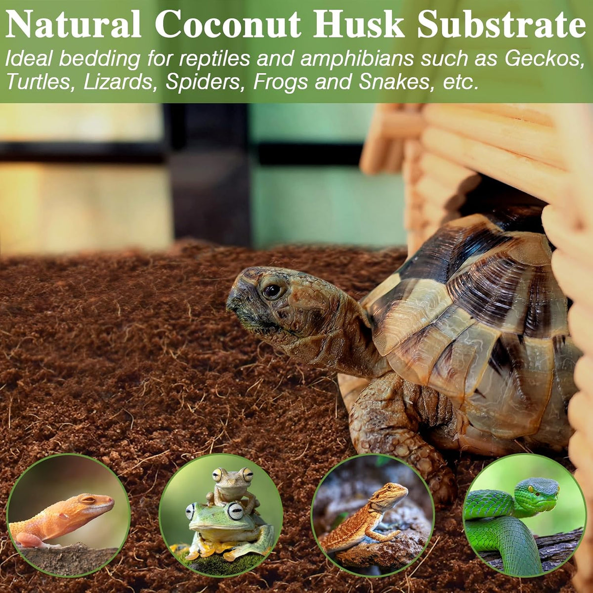 10LBS Coconut Fiber Substrate, Premium Coco Coir Reptile Substrate