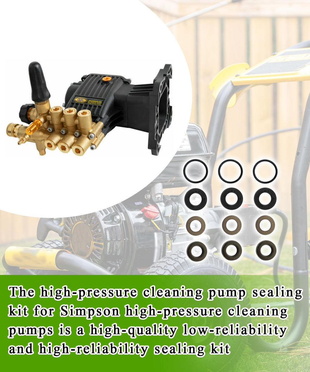 514011751 Low and High Pressure Cleaning Pump Seal Kit 12 Pcs
