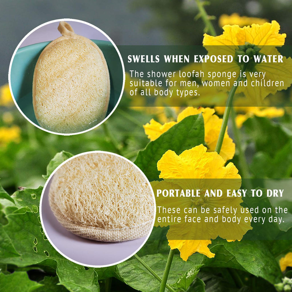 Natural Loofah Sponge Exfoliating Body Scrubber (3 Pack) Beige