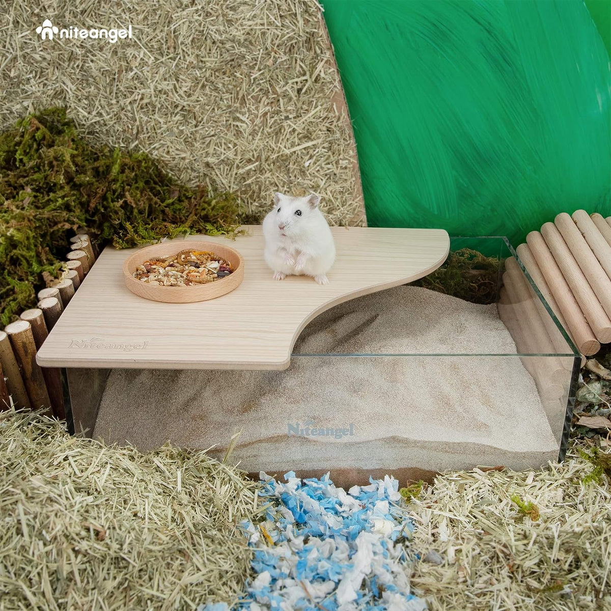 Animal Sand-Bath Box: - Acrylic Critter's Sand Bath Shower Room & Digging Sand Container for Hamsters Mice Lemming