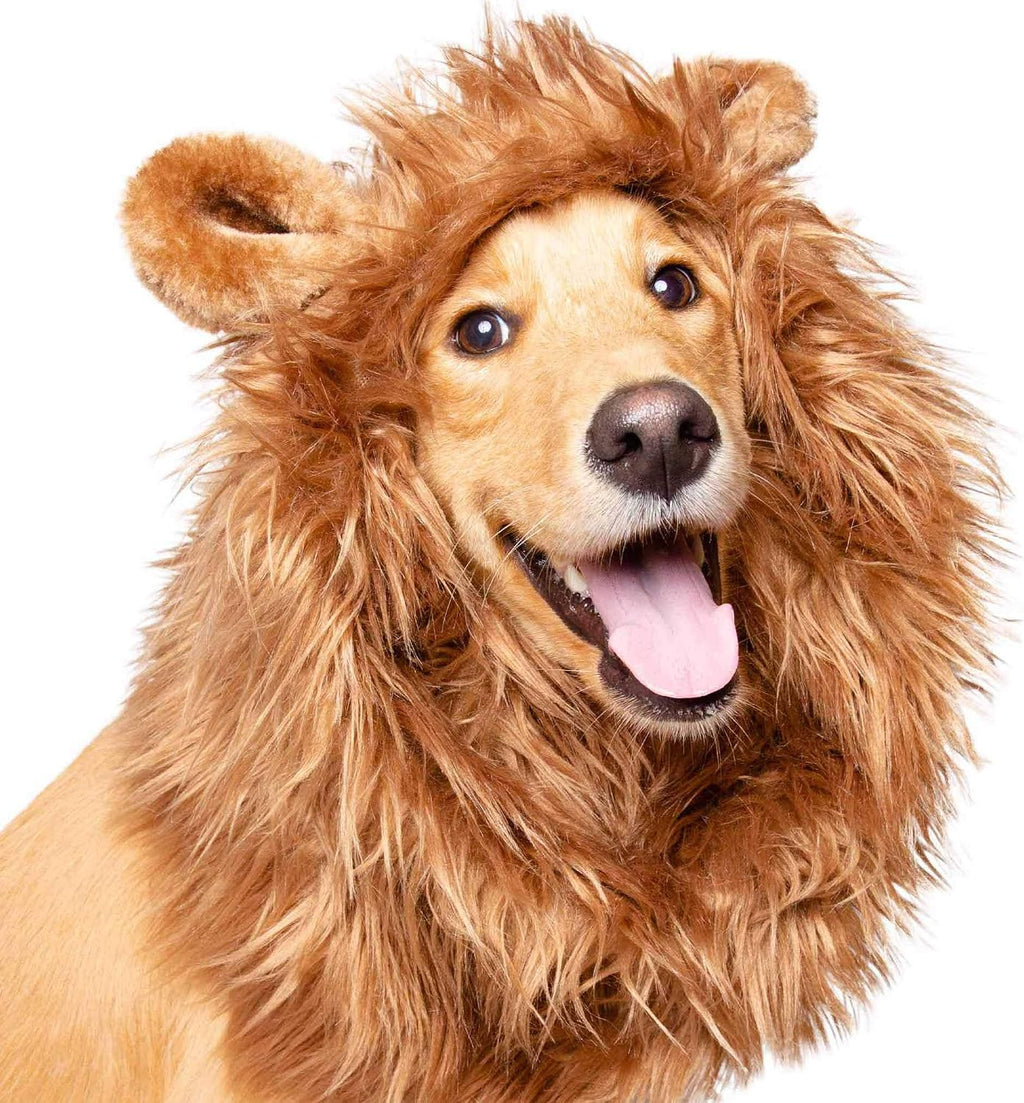 Lion Mane Costume and Big Dog Lion Mane Wig - Large Dog Costumes by Pet Krewe