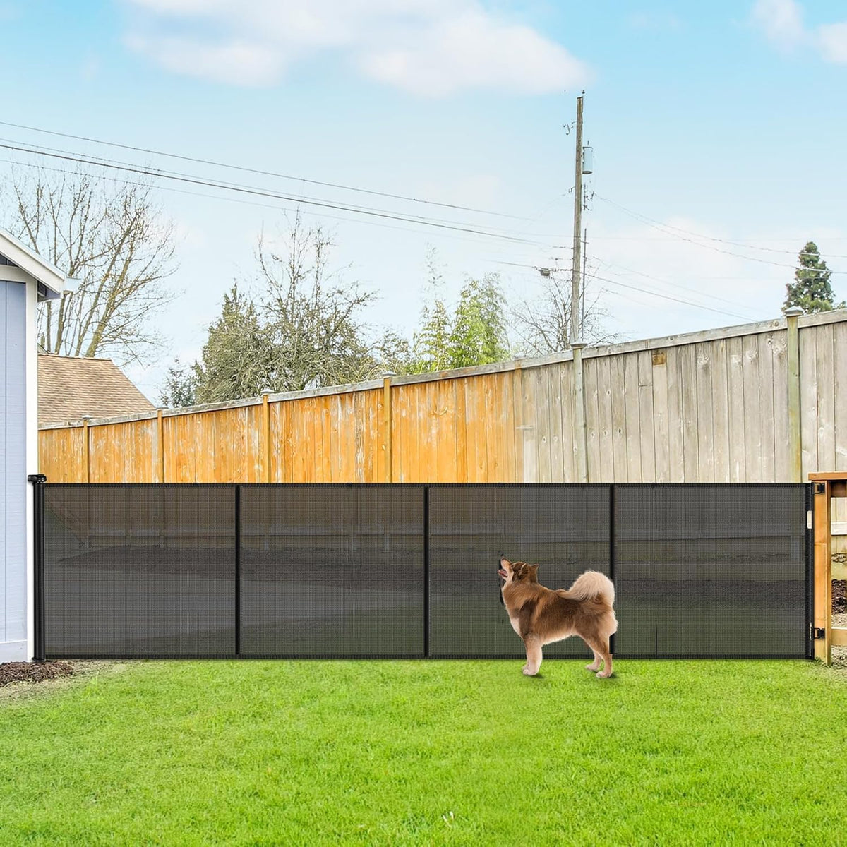 42" Tall x 155" Wide Extra-Wide Retractable Indoor/Outdoor Mesh Pet & Child Safety Gate with One-Hand Safety Lock for Wide Openings, Patios & Stairways