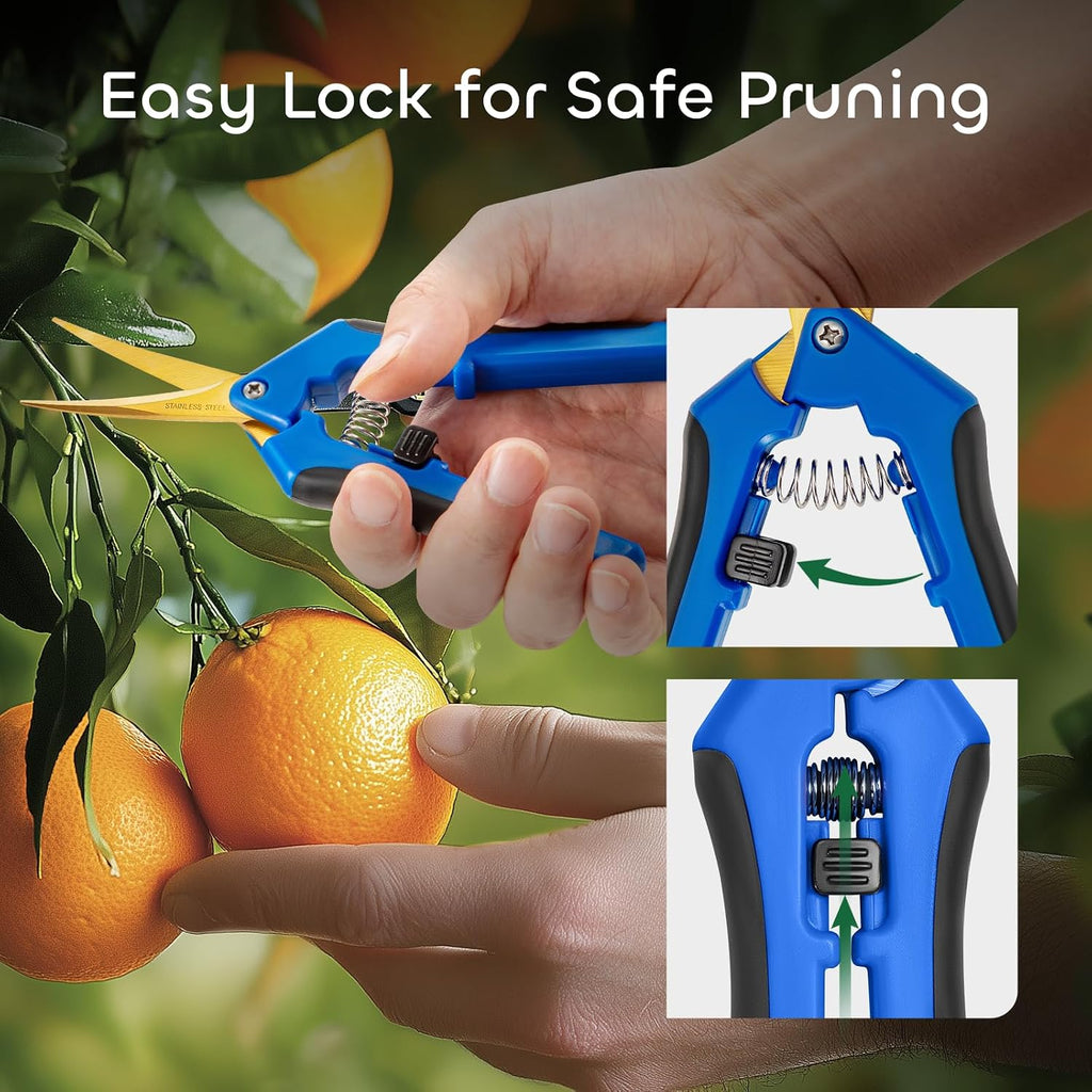 3 Packs 6.5 Inch Pruning Shears with Curved Blades Trimming Scissors For Gardening Hand Pruning Snips Titanium Coated