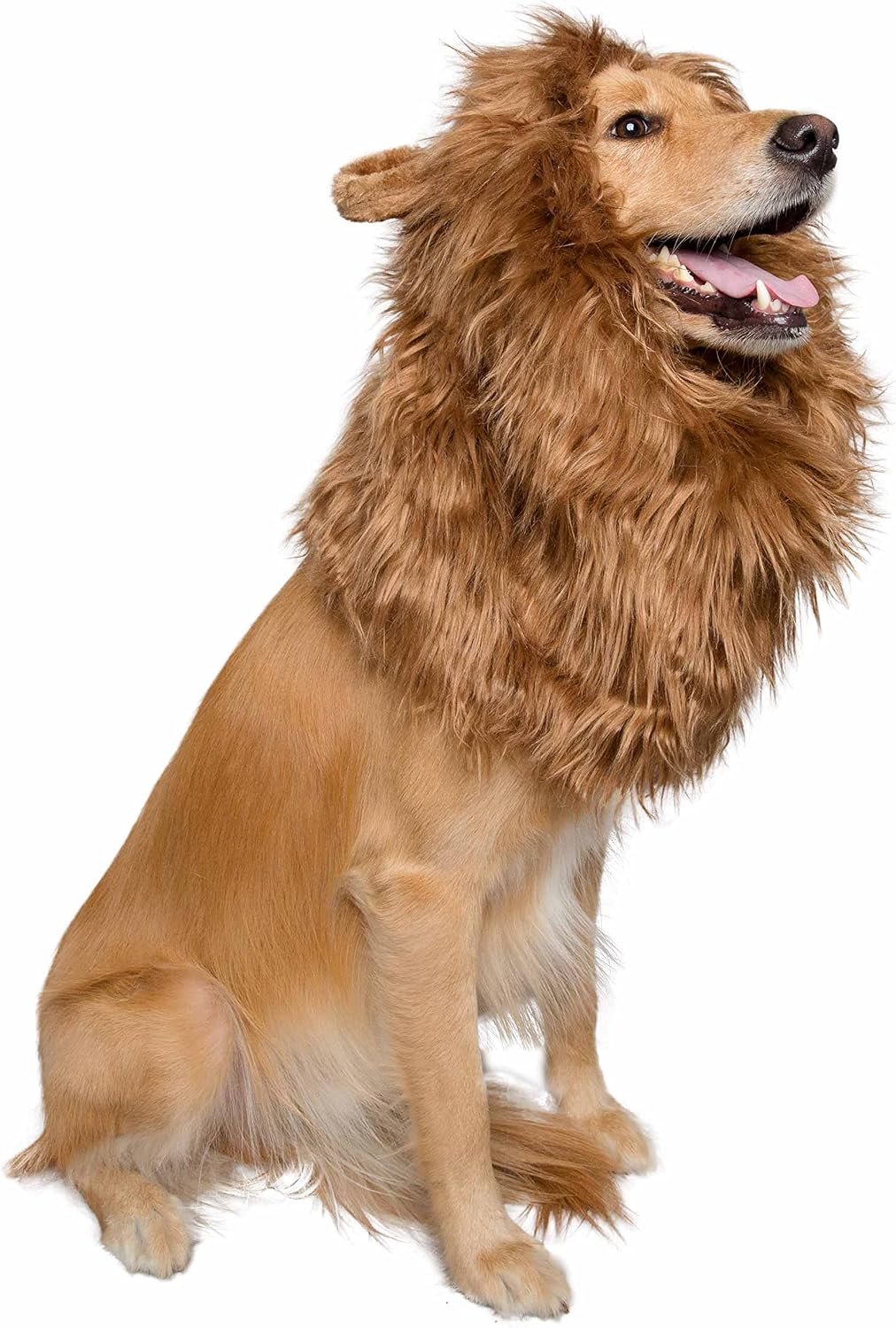 Lion Mane Costume and Big Dog Lion Mane Wig - Large Dog Costumes by Pet Krewe