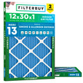 12x30x1 Air Filter MERV 13 Smoke & Allergy Defense (2-Pack)