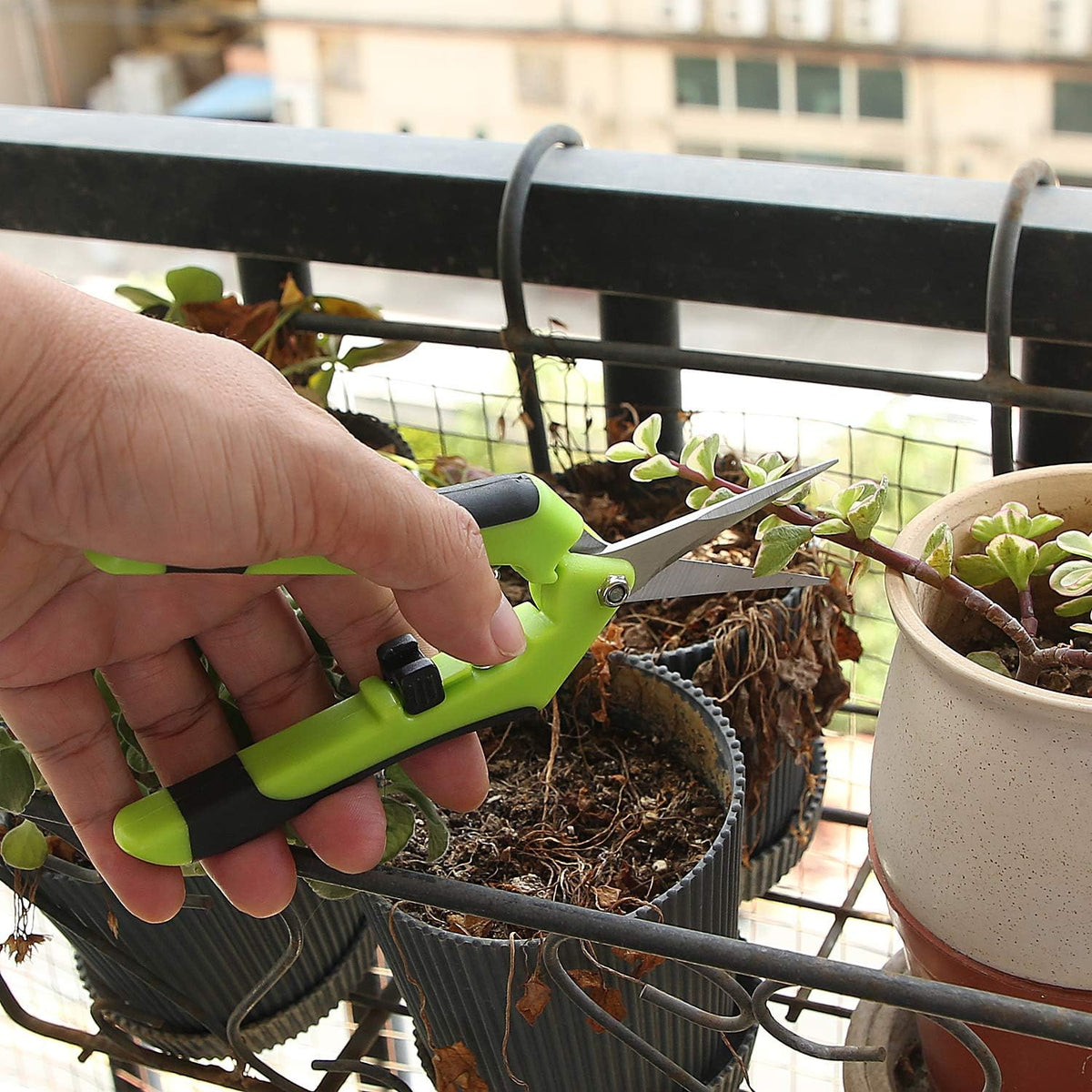 8 Pack 6.5 Inch Bud Trimming Scissors, Professional Stainless Steel Gardening Hand Pruners Micro-Tip Pruning Snips