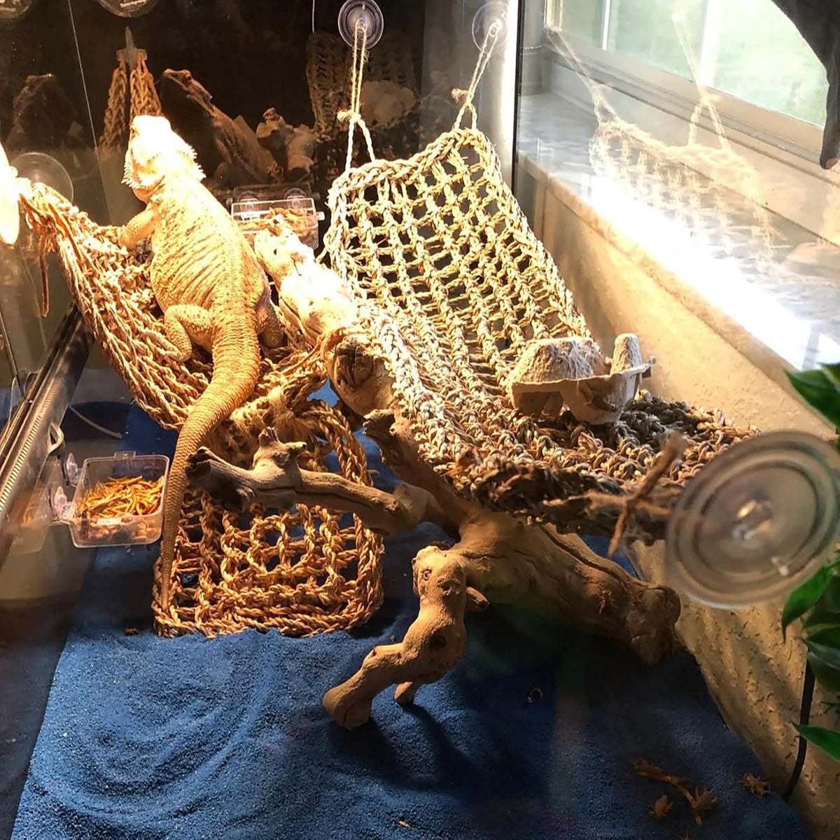 Bearded Dragon Tank Hammock,Natural Seagrass Reptile Lounger Hammocks Decor Flexible Leaves Jungle Climber Vines