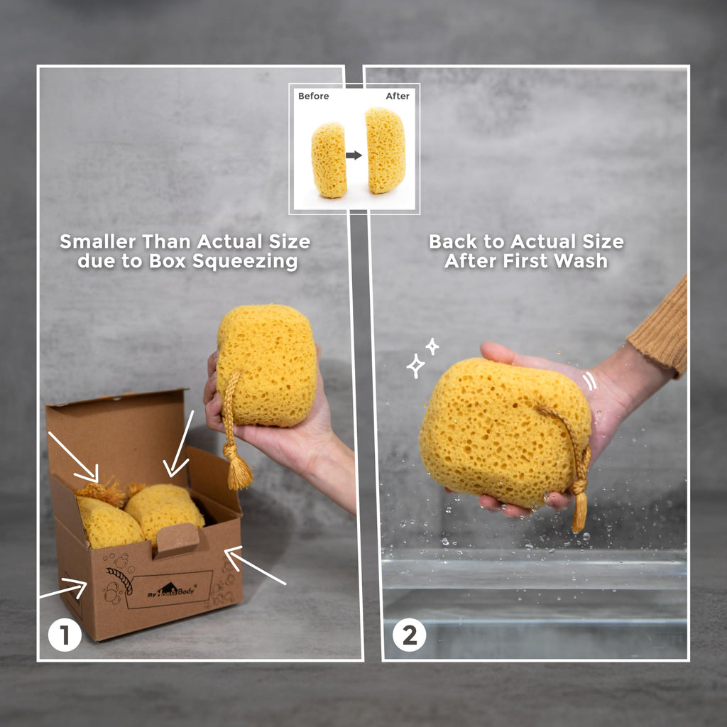 Bath Sponge, Foam Loofah, Shower Sponge for Body, Square, 2 Pack