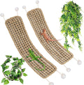 2 Pack Large Bearded Dragon Hammock,30"x7"Lizard Climbing Lounger,Natural Seagrass Reptile Hammocks Tank Accessories