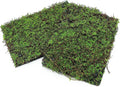 Terrarium Moss Background Backdrop Wall Reptile Cage Decoration