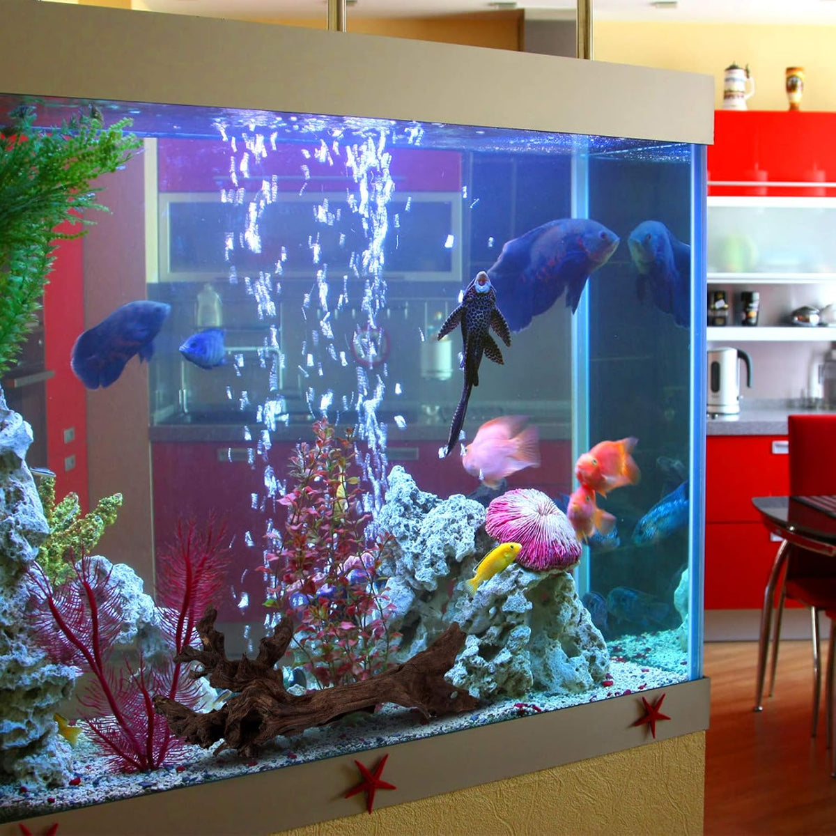 Natural Large Driftwood for Aquarium Decor Fish Tank Decorations