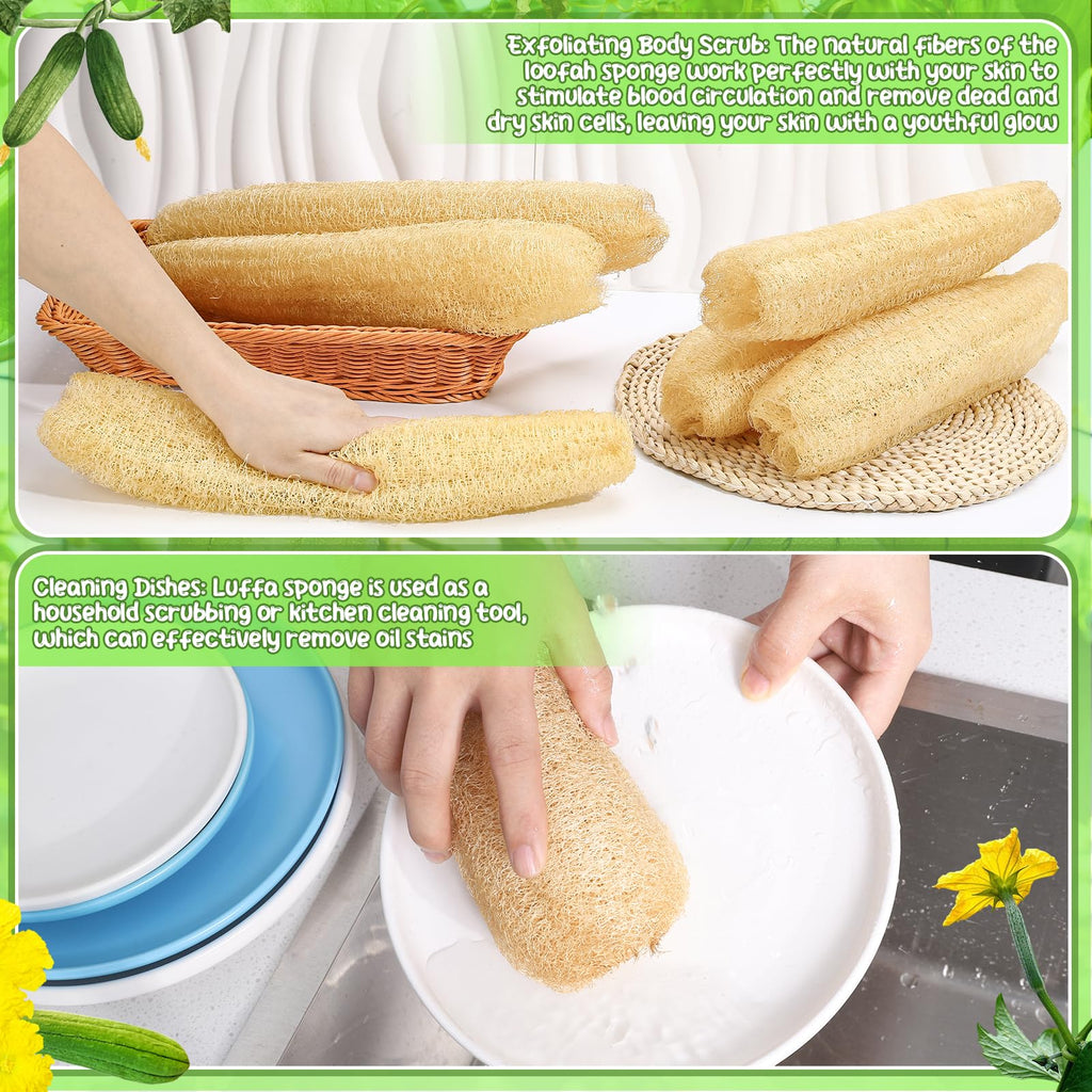 6 Pack Natural Loofah Sponge 13.8-15.7 Inches for Men Women