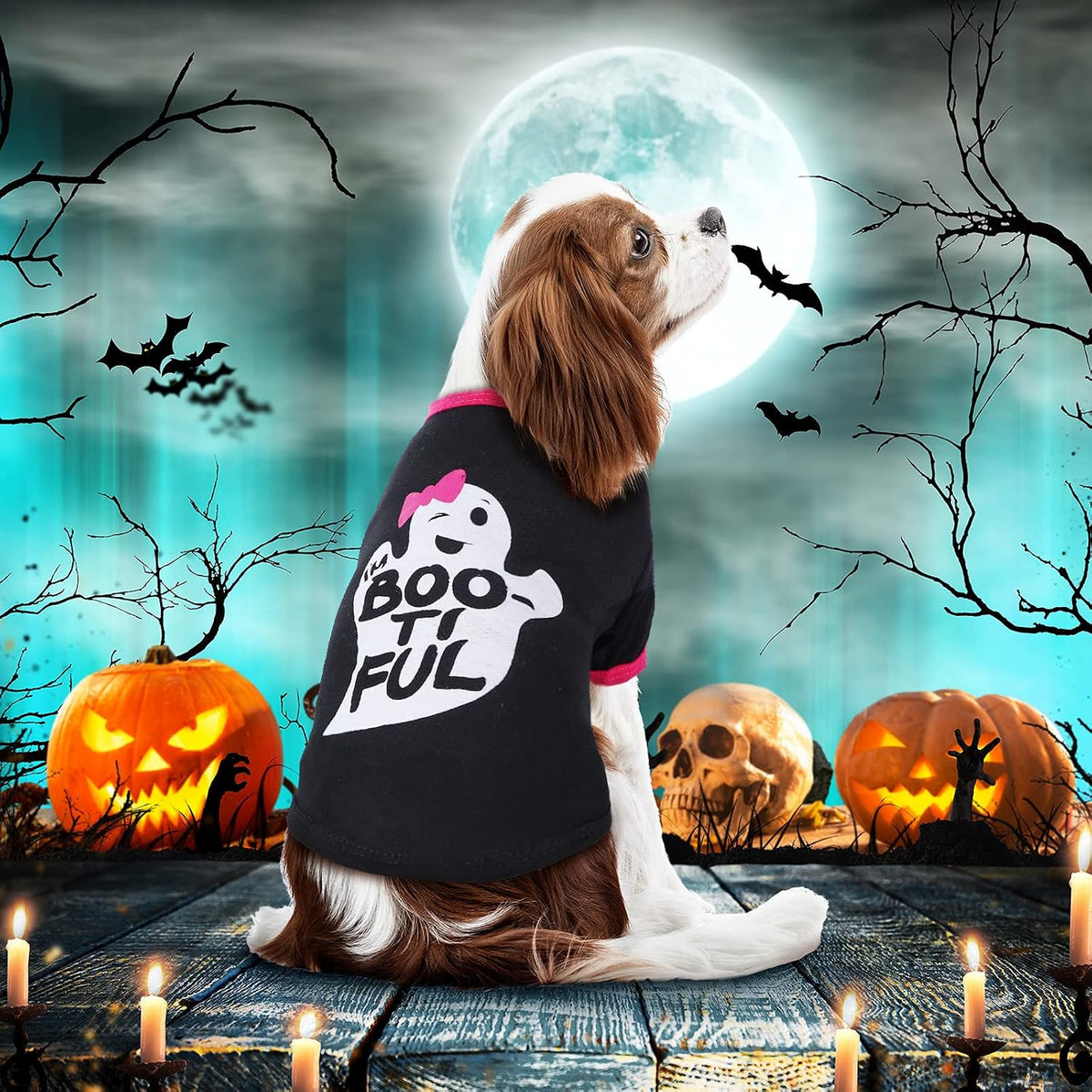 5 Pcs Halloween Dog Shirt & Clothes - Pumpkin Ghosts Skeletons Pet Costume