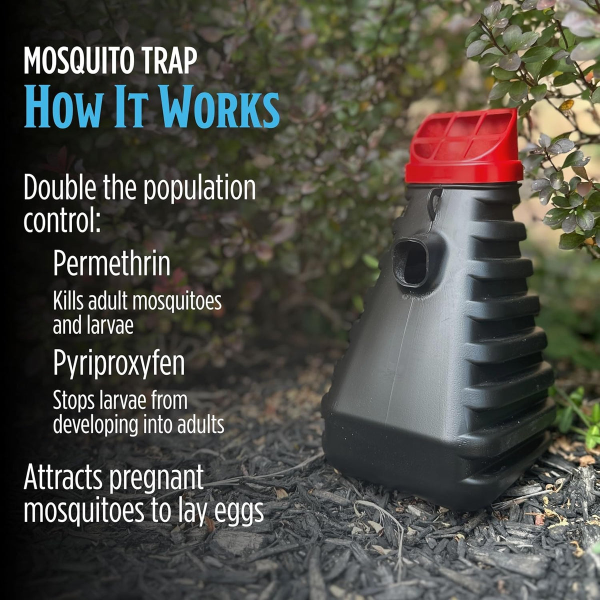 Mosquito Trap and Outdoor Bug Killer for Outdoors, 2 Pack | Water-Activated Larvae Control for Home Backyard, Patio &