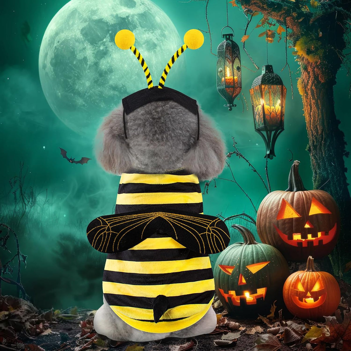 Bee Dog Costume Halloween Dog Costumes for Small Medium Dogs Cats