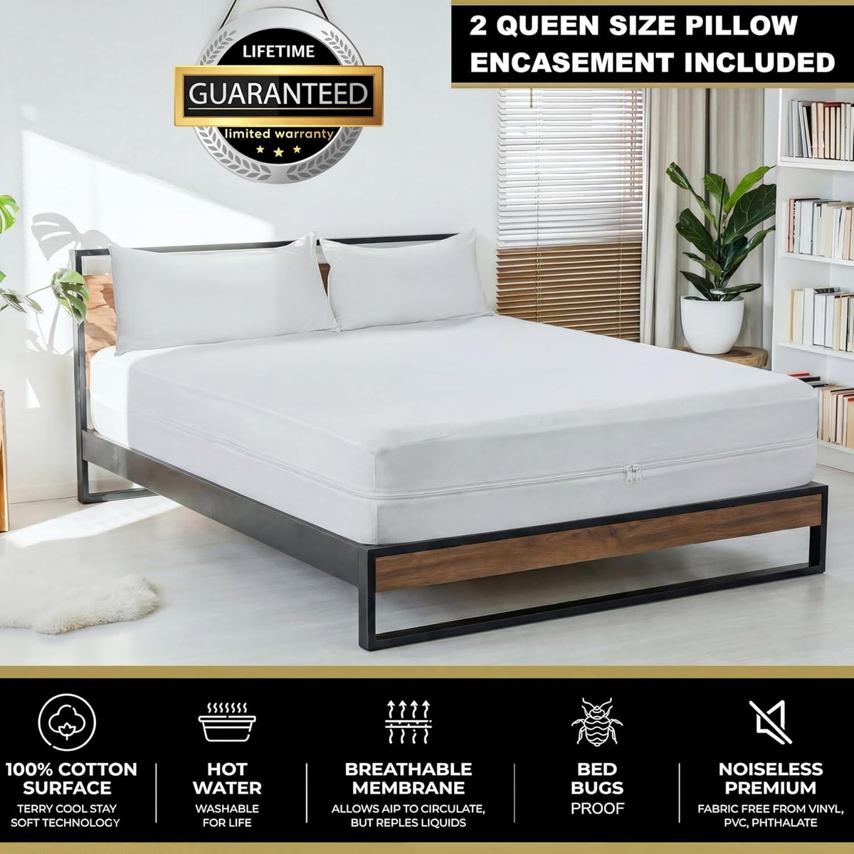 MATTSHIELD Ultimate 3-Piece Kit - Bed Bug-Proof Mattress Cover Queen Size 100% Cotton Top + 2 Pillow Protectors with