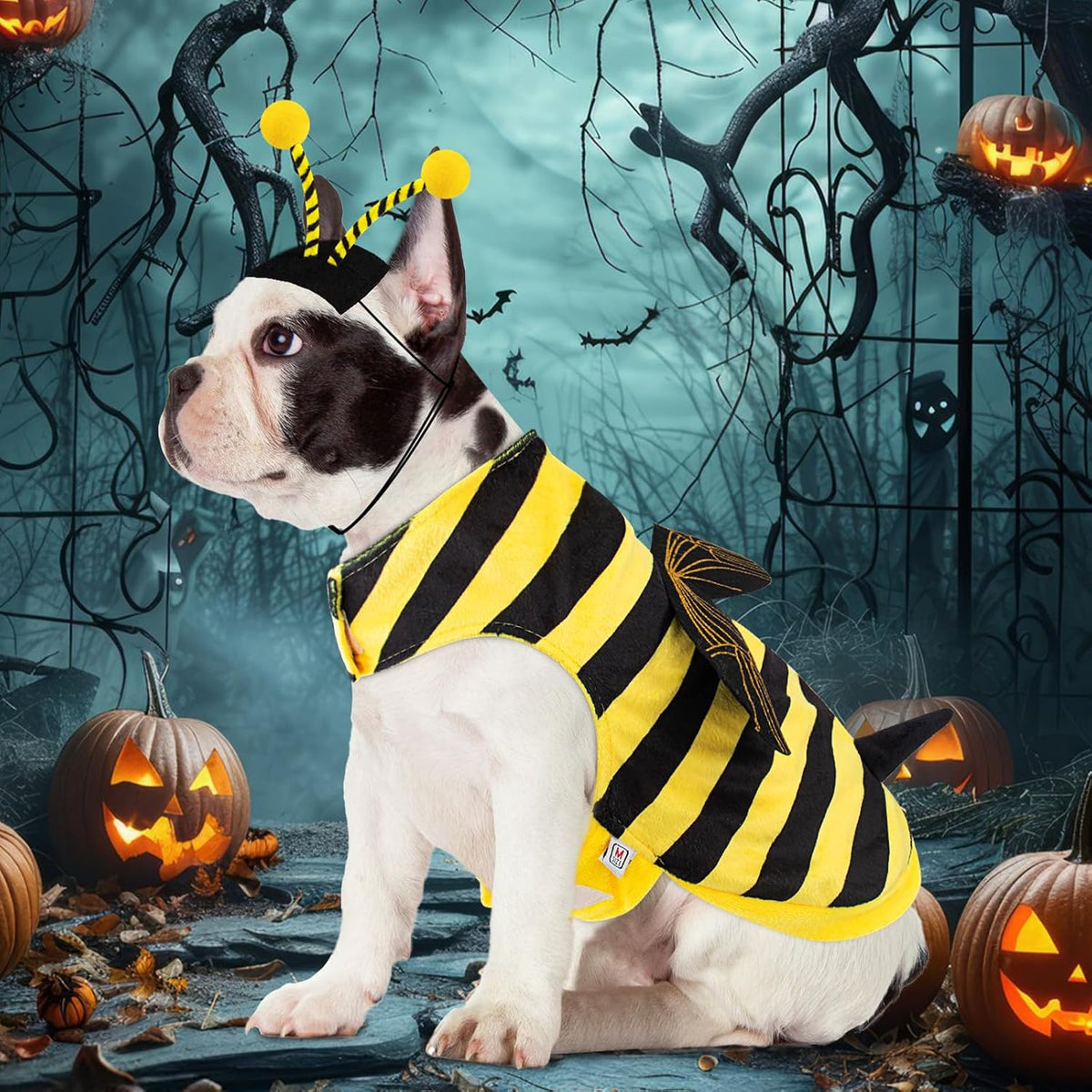 Bee Dog Costume Halloween Dog Costumes for Small Medium Dogs Cats