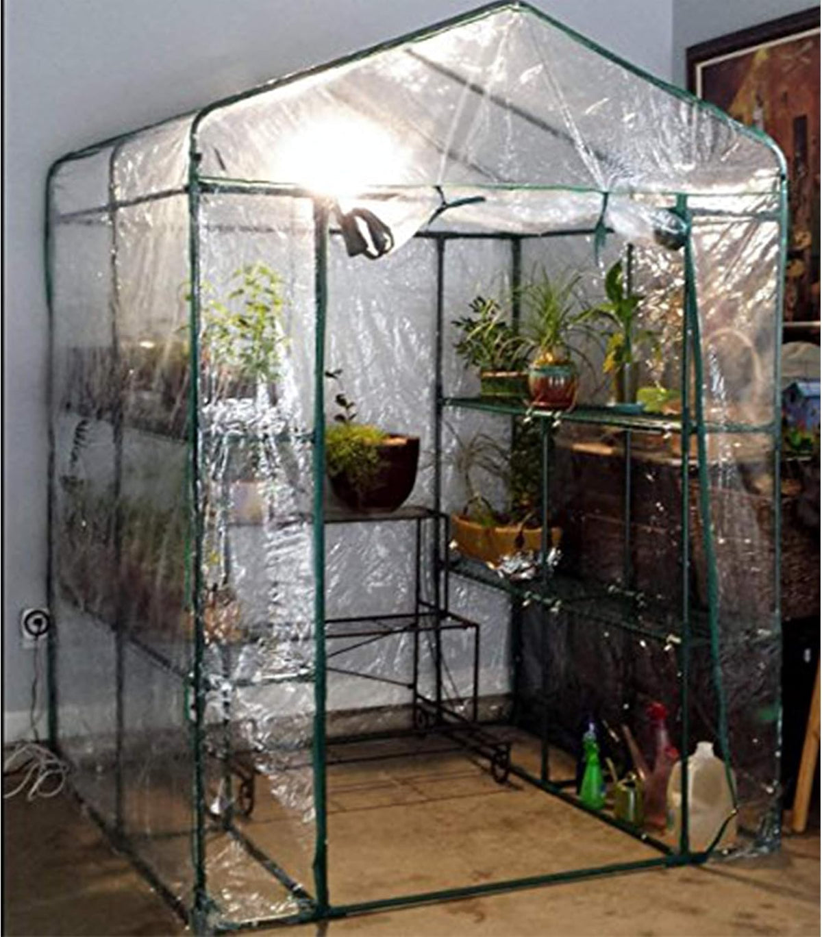 Greenhouse - Walk in Greenhouse with 8 Sturdy Shelves and PVC Cover for Indoor or Outdoor Use - 56 x 56 x 76-Inch