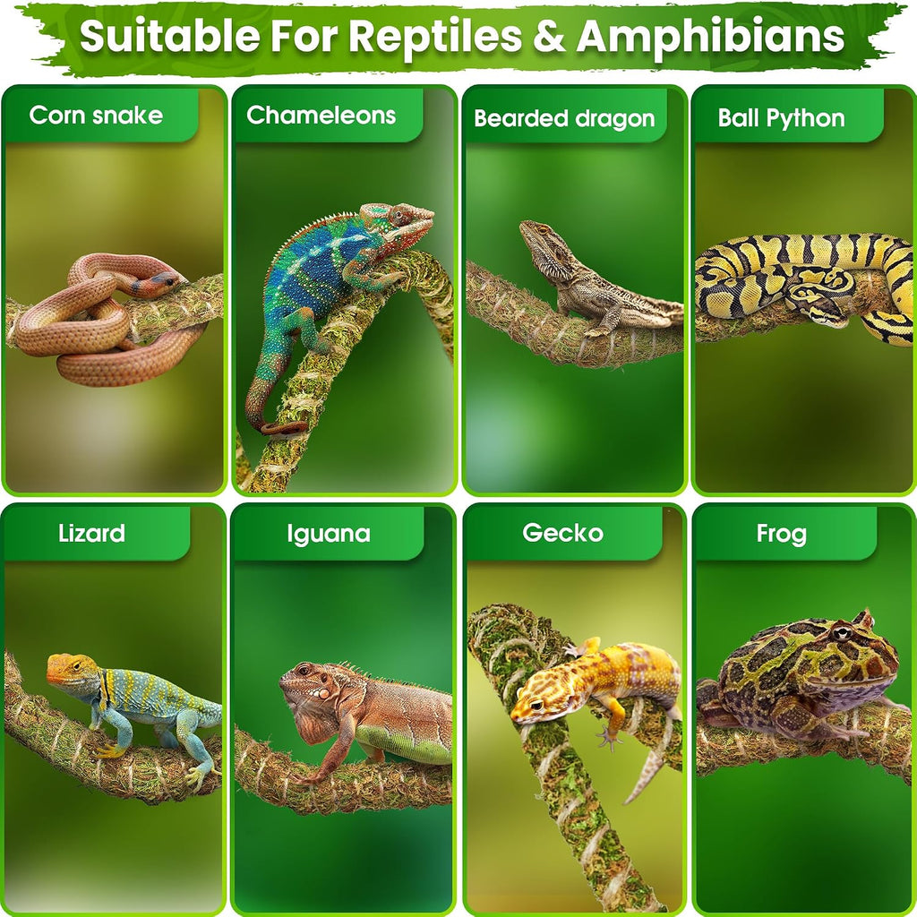 10FT Reptile Vines for Climbing, Bendable Branch for Reptile