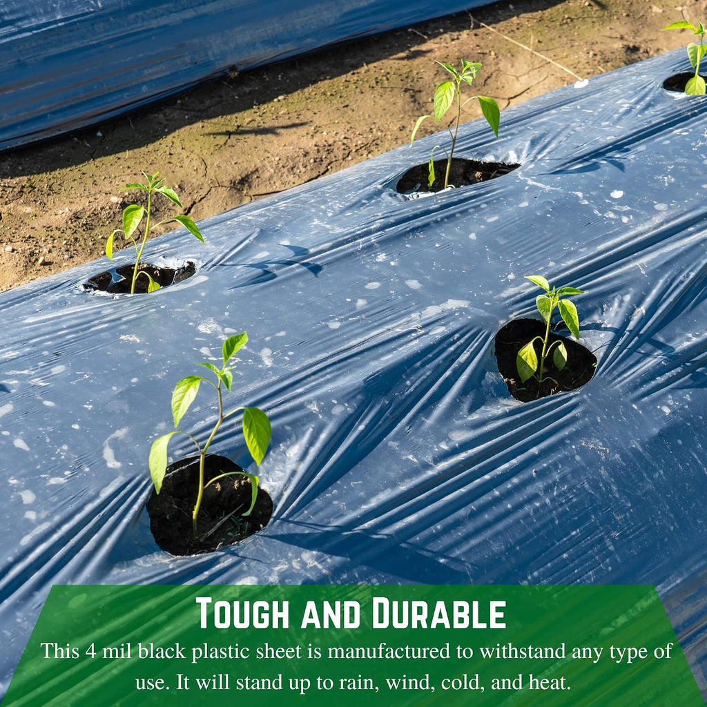 Black Plastic Sheeting - 4 mil - (8' x 100') - Polyethylene Vapor Barrier, Painters Tarp, Heavy Duty Roll