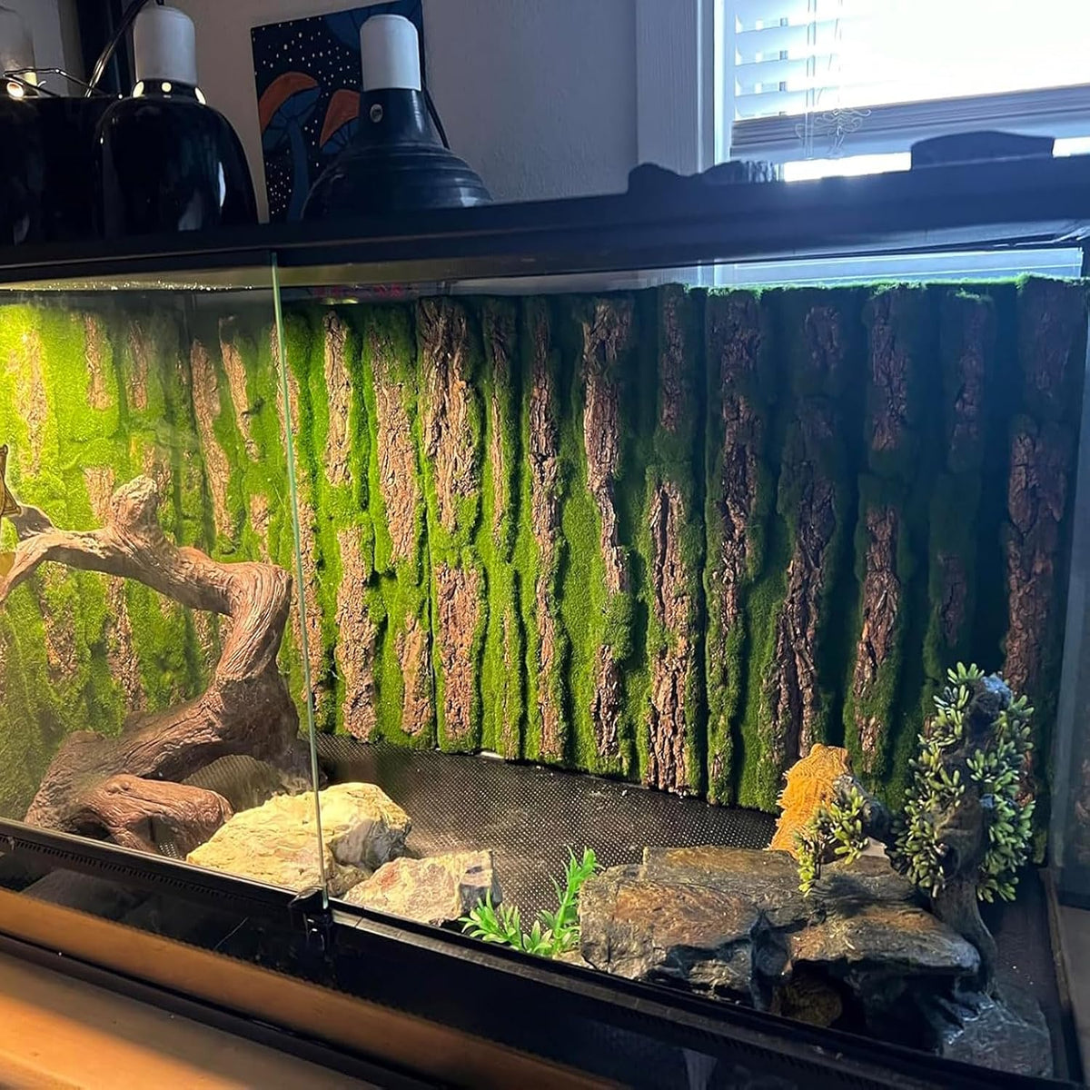 Reptile Terrarium Cork Background, Bearded Dragon Tank Bark Backdrop Wall Decor with Artificial Moss for Gecko Lizard
