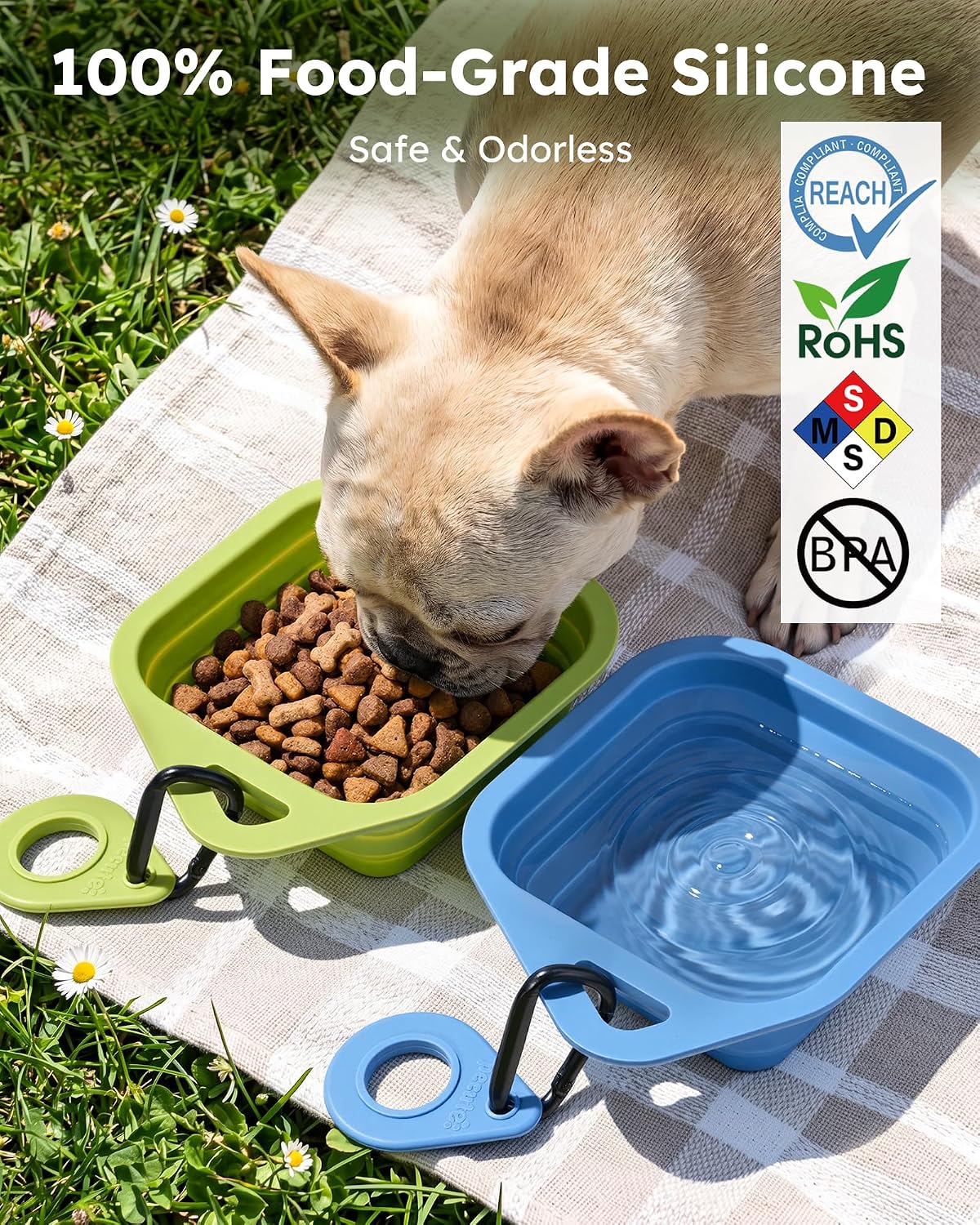 2 Pack Collapsible Dog Bowls, Food-Grade Silicone, Blue & Green