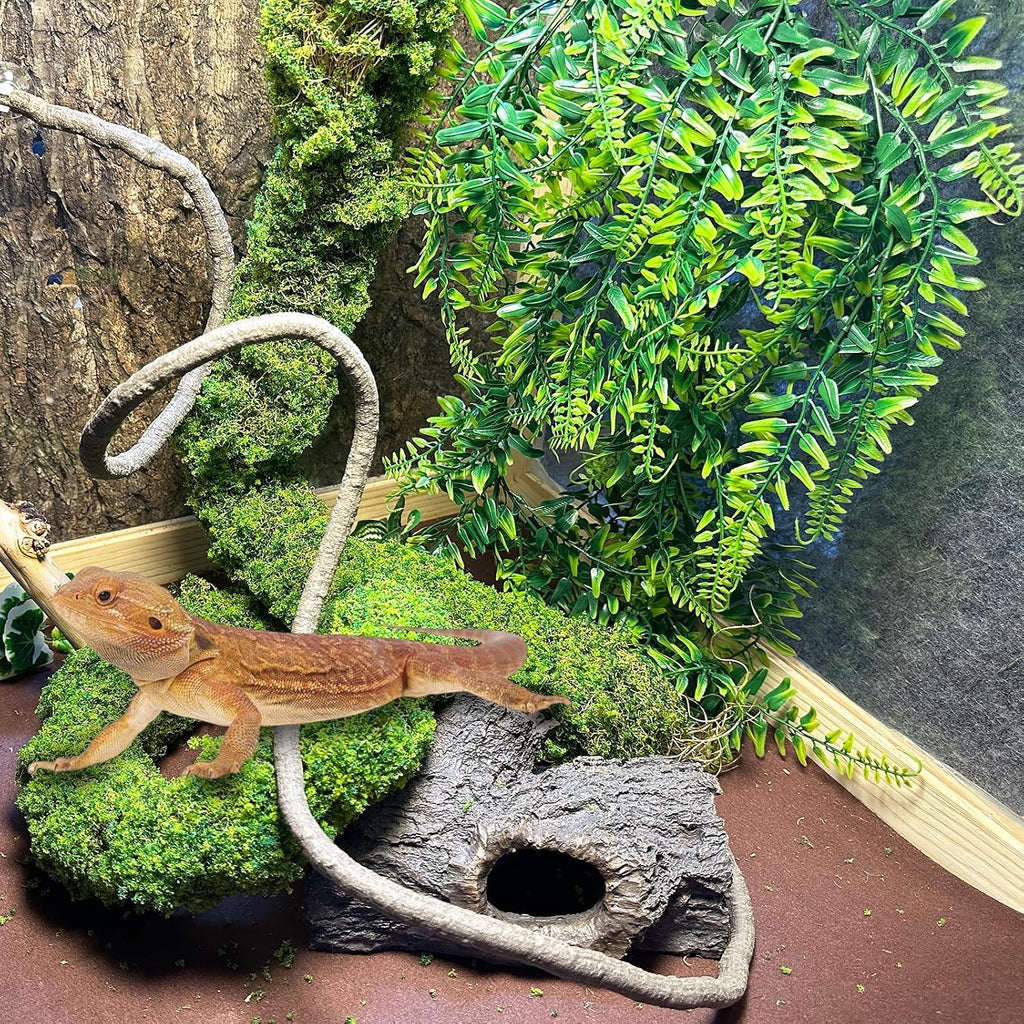 Reptile Plants,Flexible Rainforest Vines with Moss,Bearded Dragon Tank Accessories,Terrarium Hanging Plant Artificial