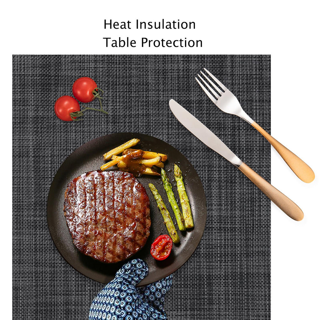 Placemats Set of 10 Kitchen and Dining Table Placemats