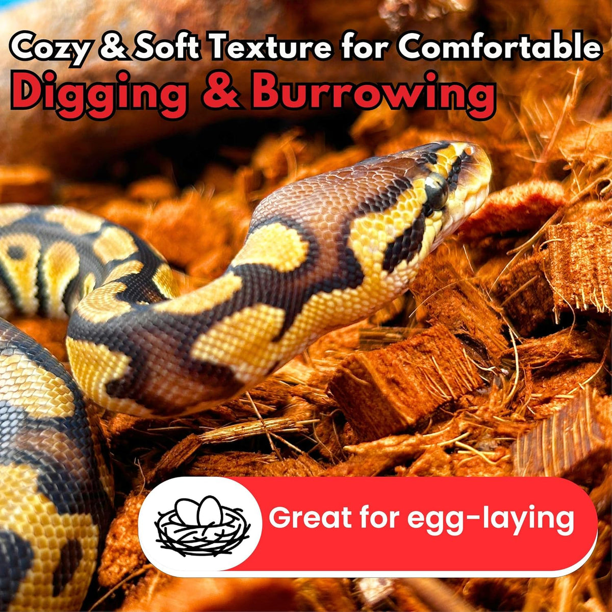 ReptiCare Compressed Coconut Chip Substrate for Reptiles 64 Quart Coco Husk Bedding Block for Ball Pythons, Snakes