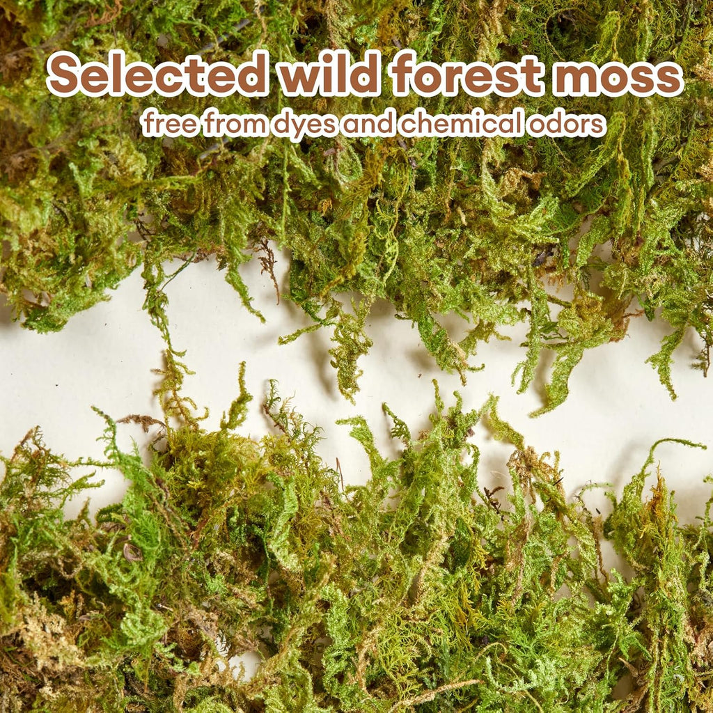 5L Hamster Bedding, Natural Forest Moss Odor Control