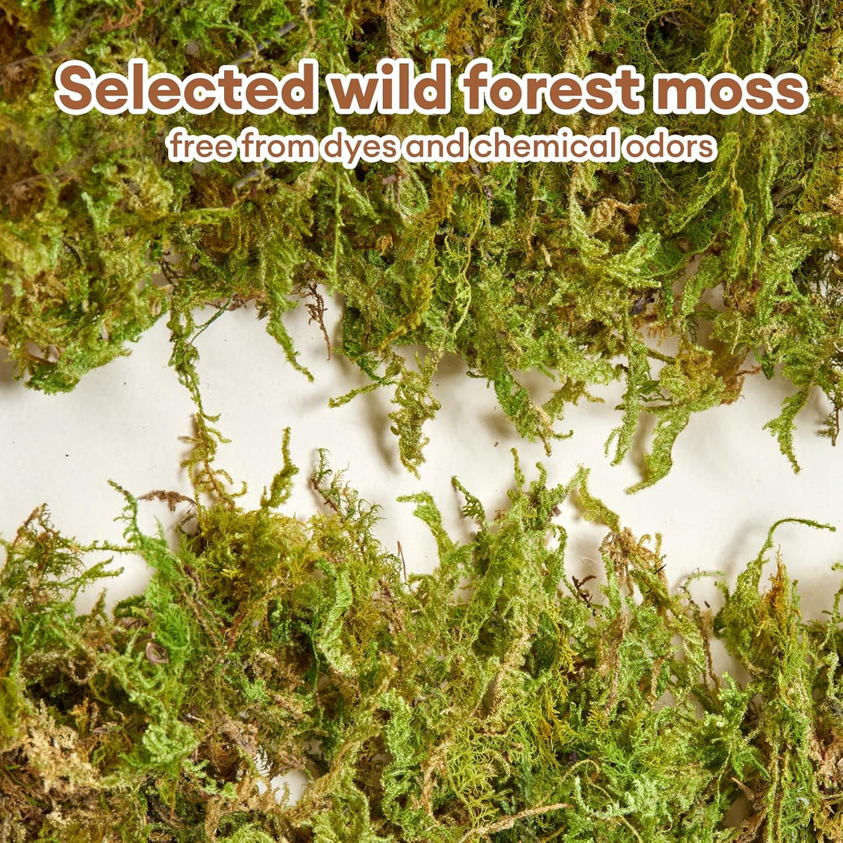 5L Hamster Bedding, Natural Forest Moss Odor Control