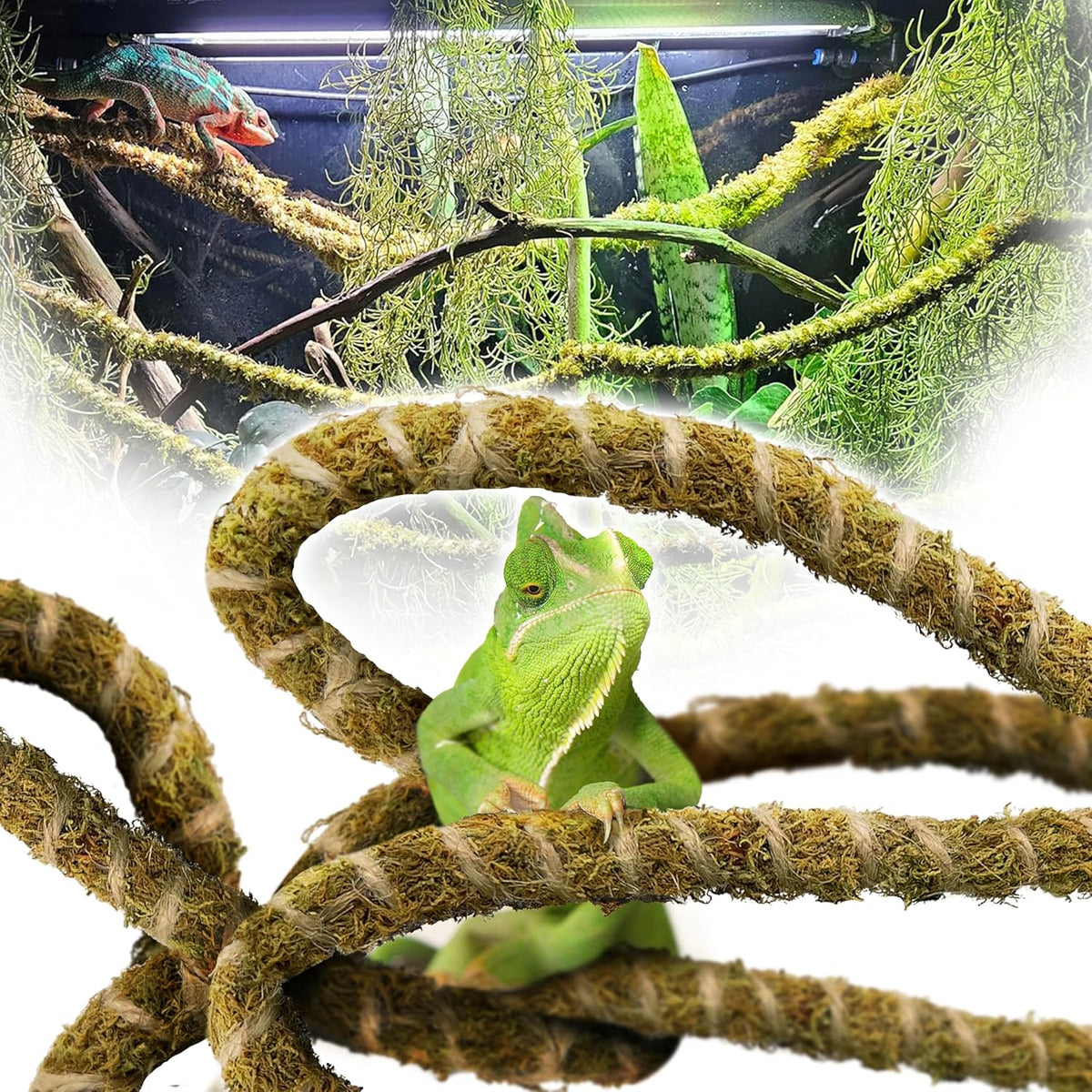 6.5FT Reptile Vines for Climbing, Bendable Branch for Reptile