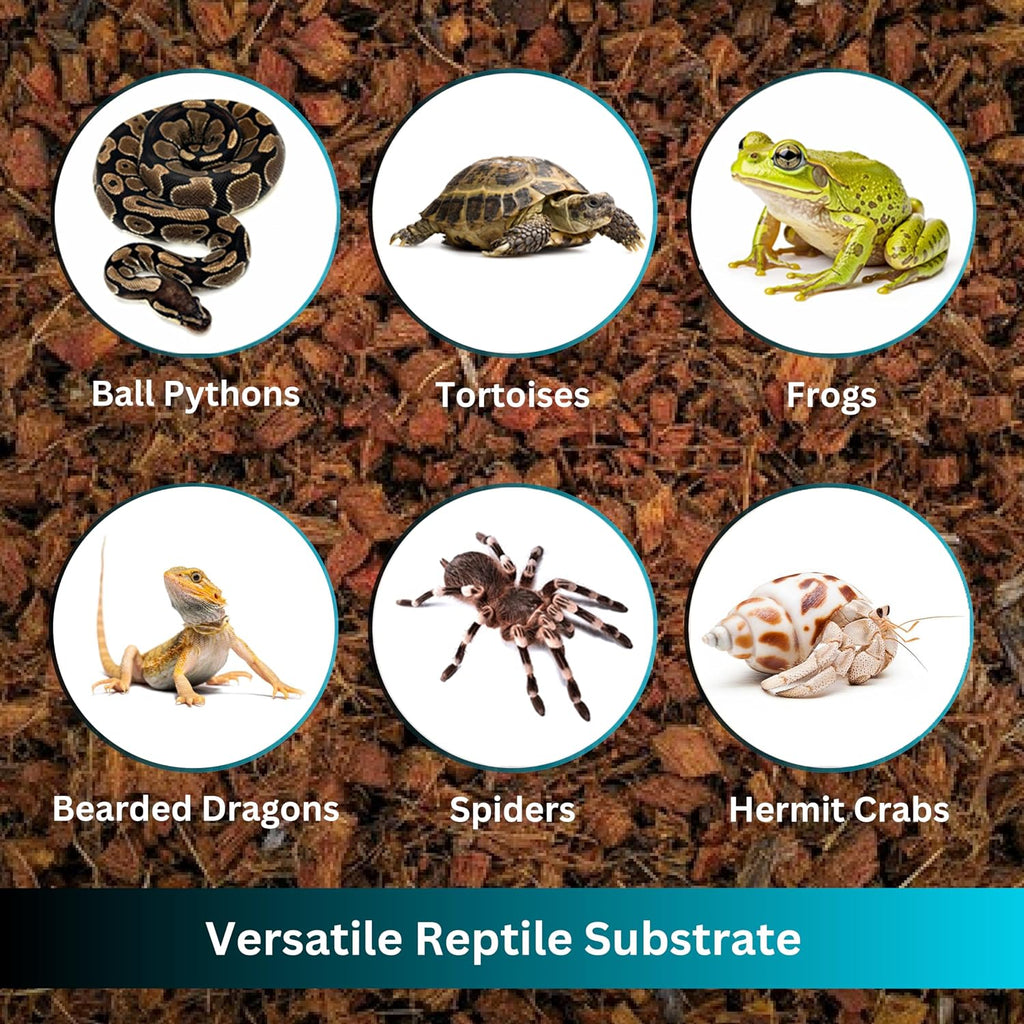Premium Coconut Chip Substrate for Reptiles | 10 lb Compressed Block Expands up to 72 Quarts | Natural Bedding for