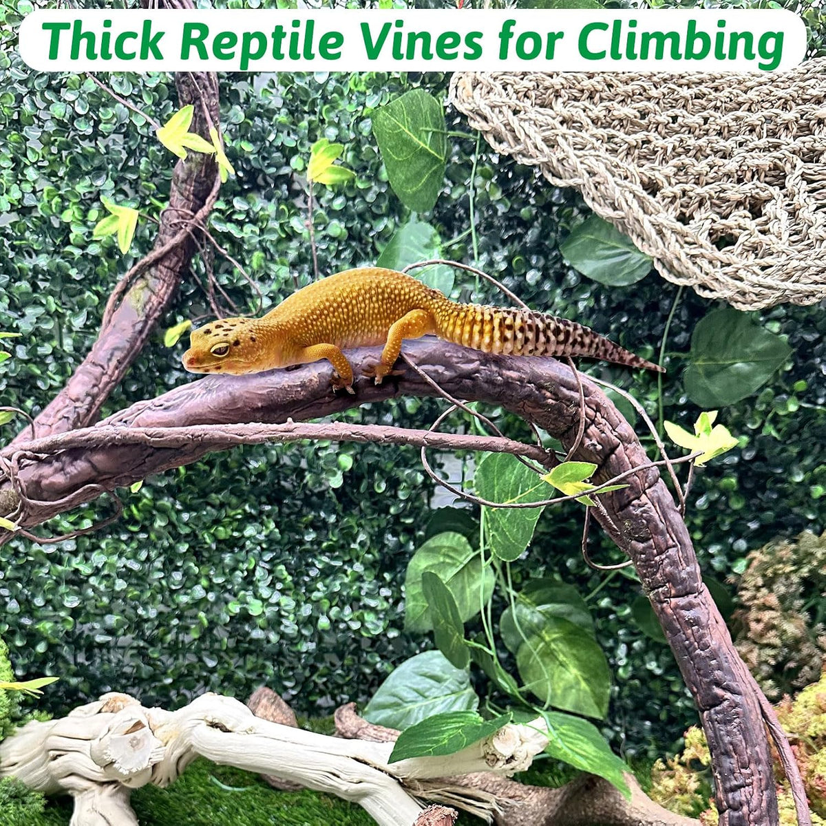 Extra Large Reptile Vines Thick Terrarium Plants 78 Inches Long Flexible Climbing Branch with Leaves Snake Tank