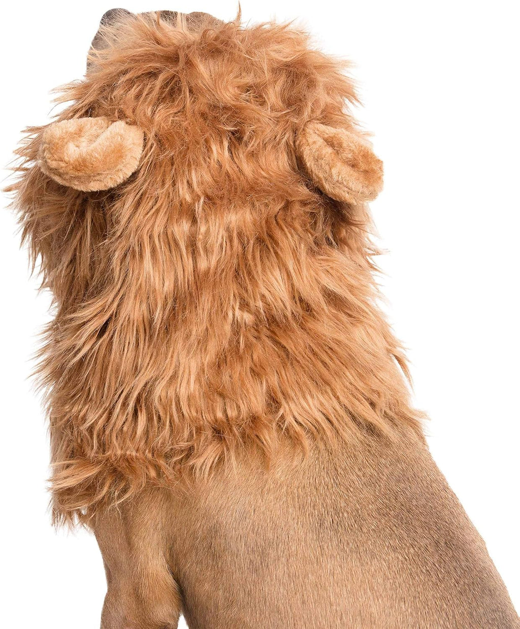 Lion Mane Costume and Big Dog Lion Mane Wig - Large Dog Costumes by Pet Krewe