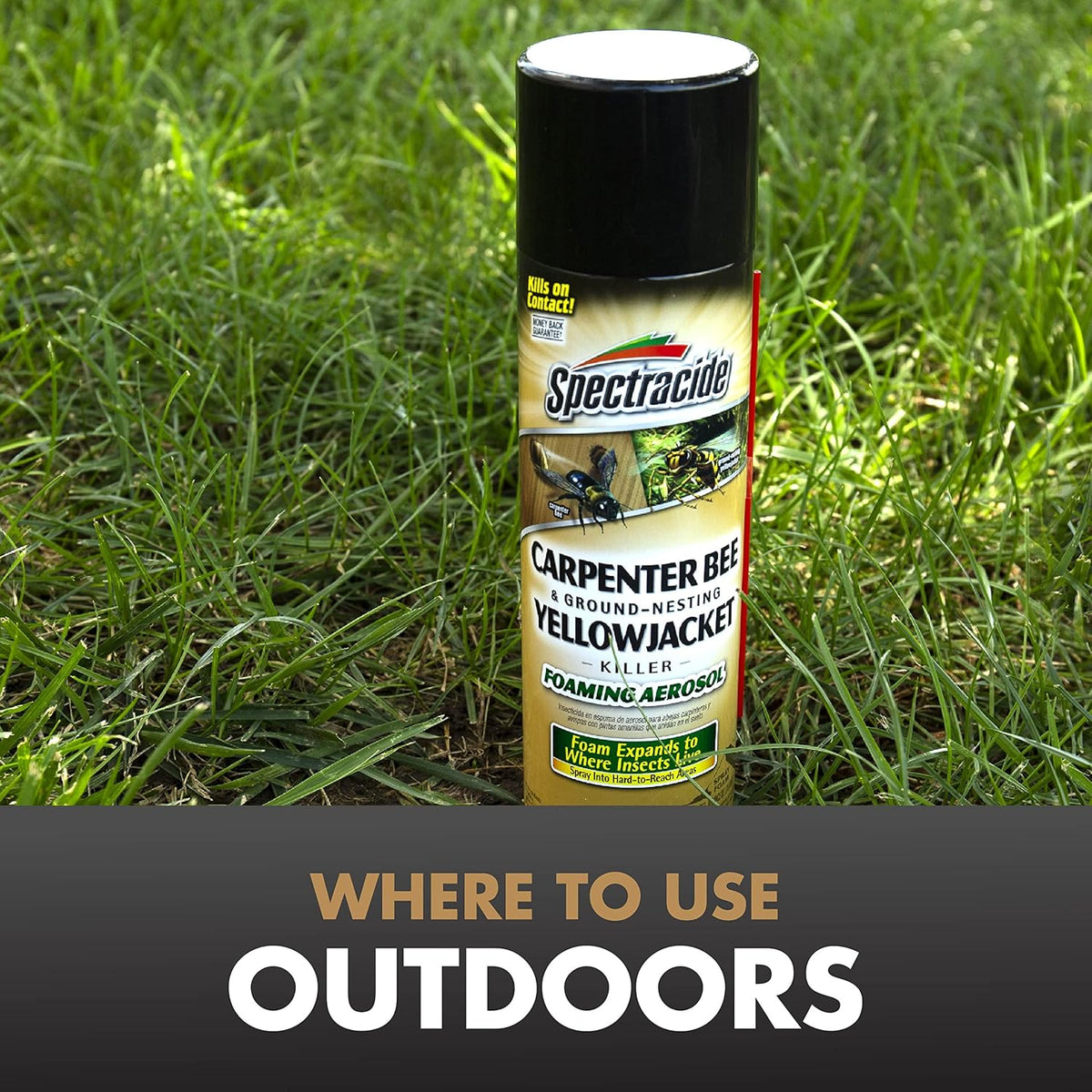 Carpenter Bee & Gound-Nesting Yellowjacket Killer 16 Oz, 12 Pk | Foaming Aerosol Kills on Contact, Expands To Where