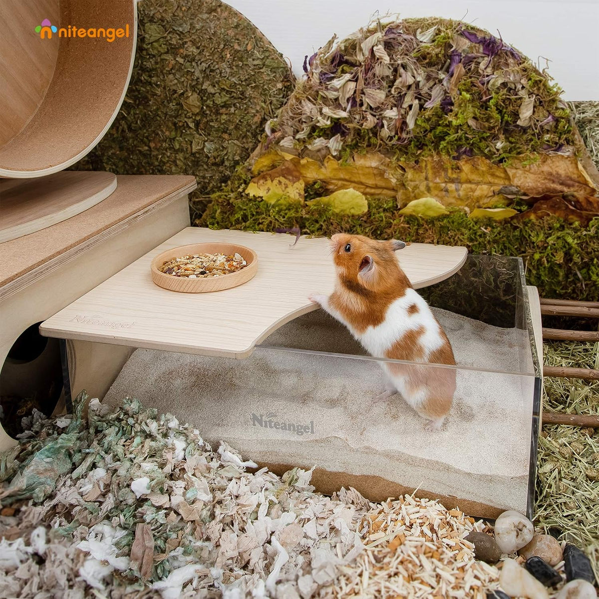 Animal Sand-Bath Box: - Acrylic Critter's Sand Bath Shower Room & Digging Sand Container for Hamsters Mice Lemming