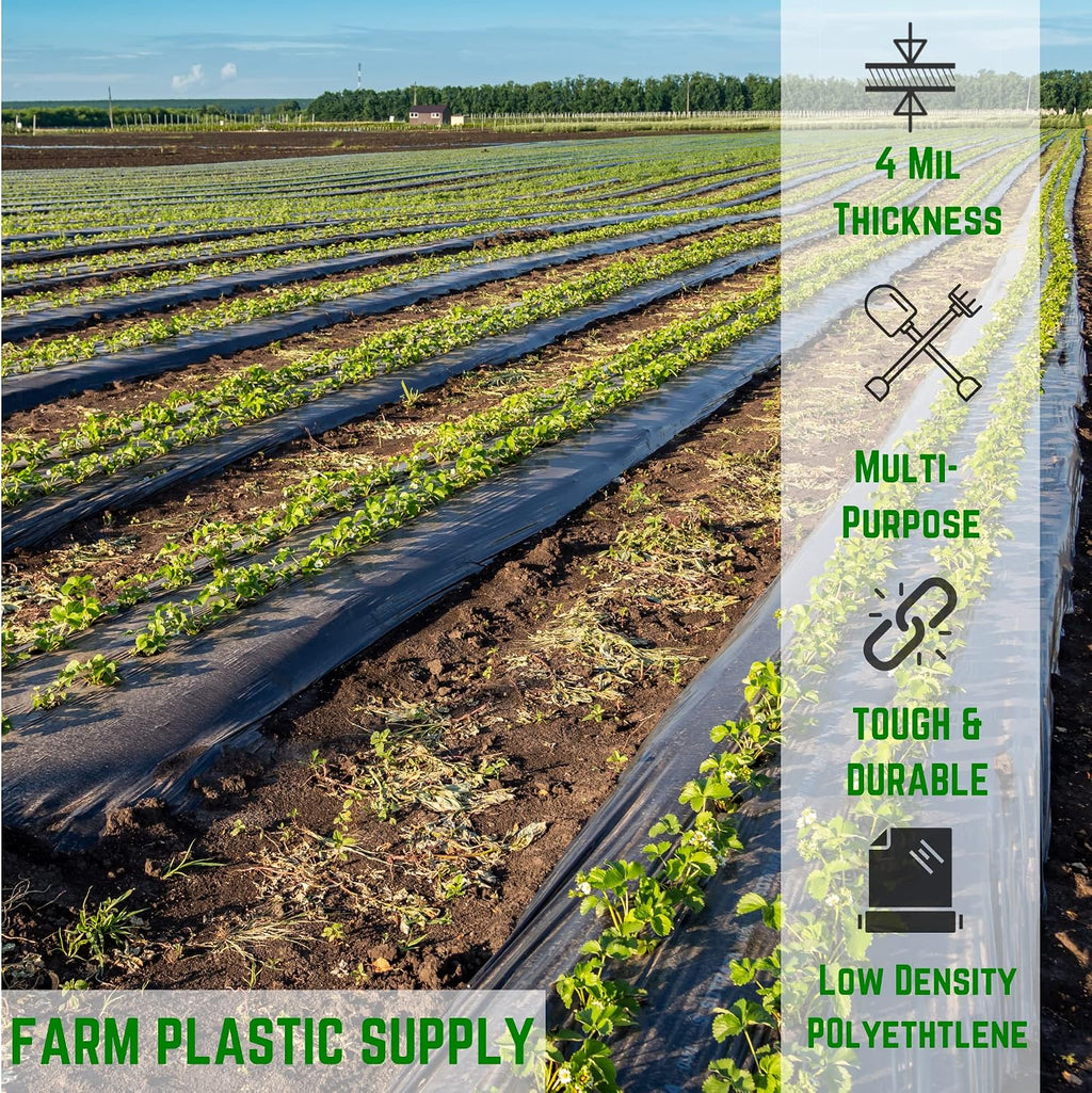 Black Plastic Sheeting - 4 mil - (8' x 100') - Polyethylene Vapor Barrier, Painters Tarp, Heavy Duty Roll