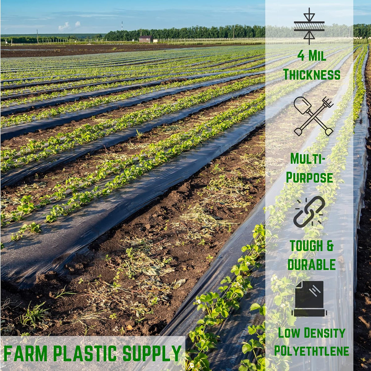 Black Plastic Sheeting - 4 mil - (8' x 100') - Polyethylene Vapor Barrier, Painters Tarp, Heavy Duty Roll