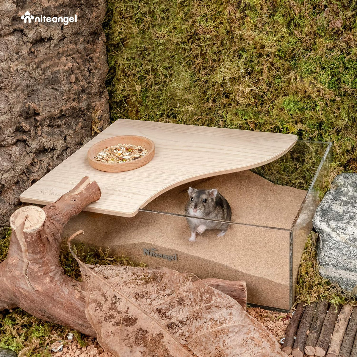 Animal Sand-Bath Box: - Acrylic Critter's Sand Bath Shower Room & Digging Sand Container for Hamsters Mice Lemming