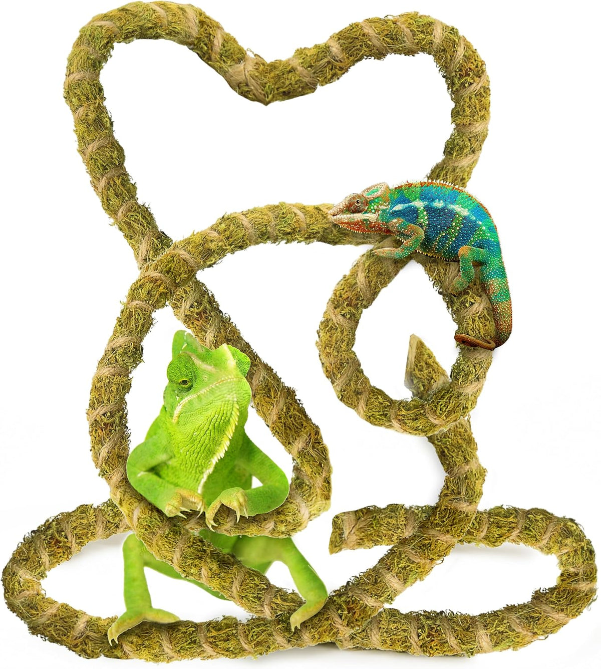 10FT Reptile Vines for Climbing, Bendable Branch for Reptile