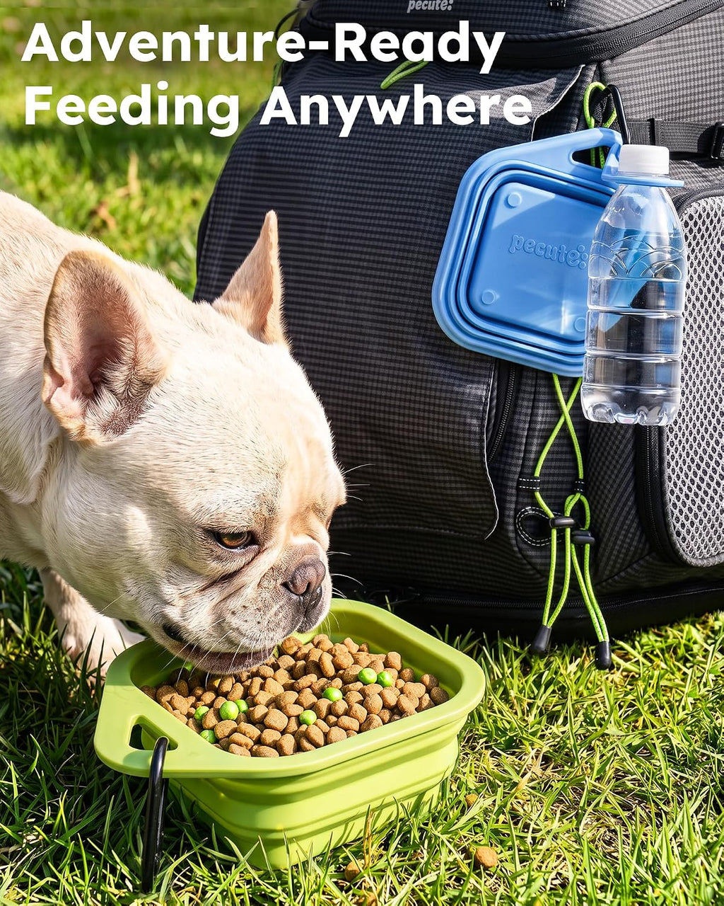 2 Pack Collapsible Dog Bowls, Food-Grade Silicone, Blue & Green