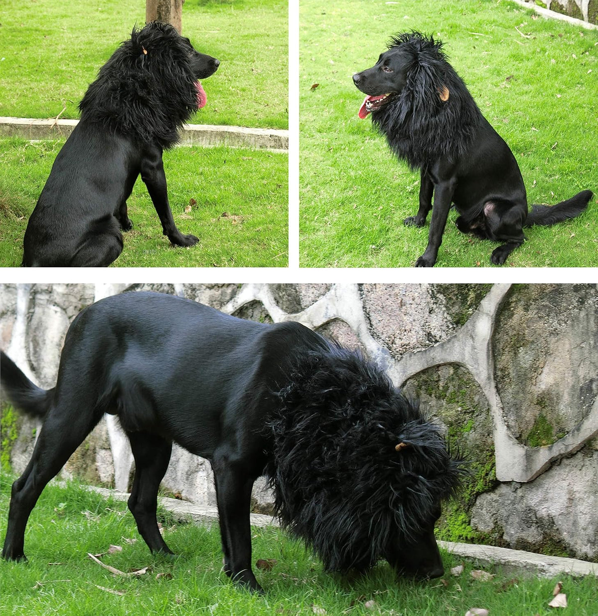 Lion Mane Wig for Dogs with Ears, Funny Pet Costumes for Halloween Christmas